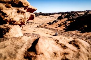 Photo: cristiano barni/Shutterstock.com