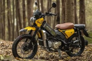 Leten LT 190 Adventure Cub
