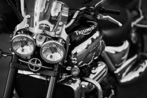 Photo: OlegRi/Shutterstock.com